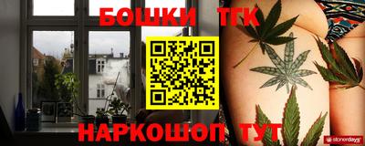 соль ск Дубна
